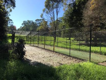 A fenced path with trees and grass

Description automatically generated
