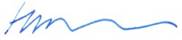 A blue line drawn on a white surface

Description automatically generated