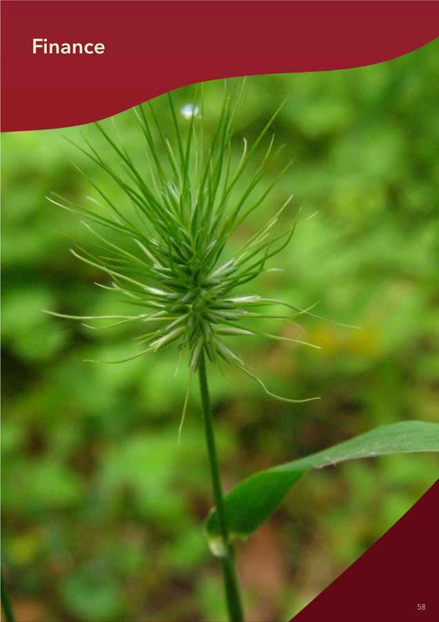 A close up of a plant

AI-generated content may be incorrect.