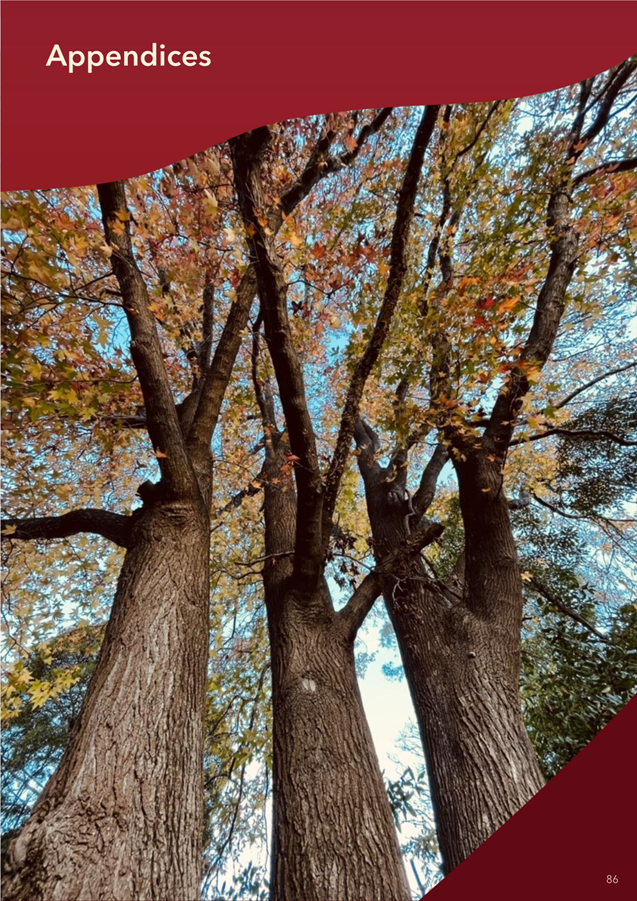 A group of trees with colorful leaves

AI-generated content may be incorrect.