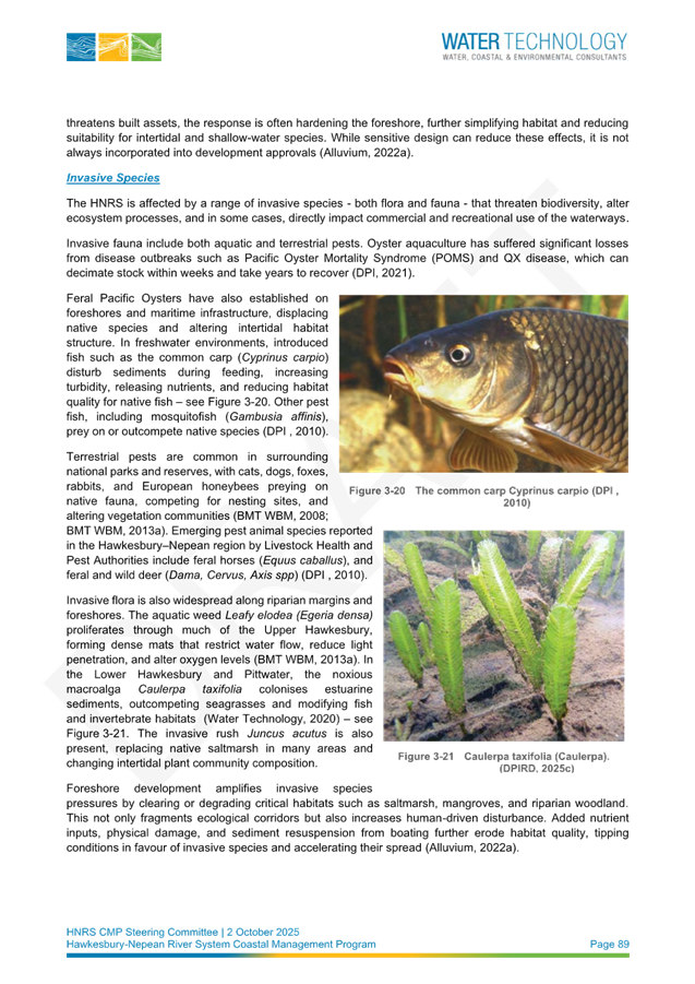 A close-up of a newspaper

AI-generated content may be incorrect.