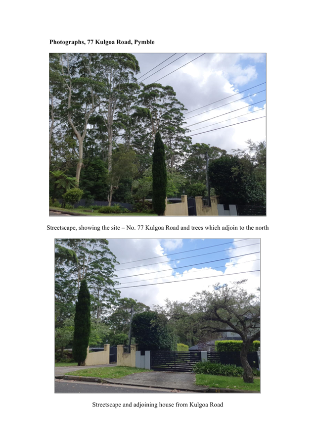 A collage of trees and a driveway

AI-generated content may be incorrect.