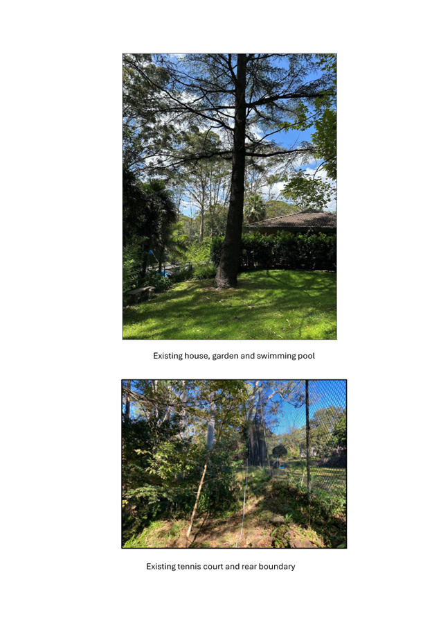 A collage of a tree

AI-generated content may be incorrect.