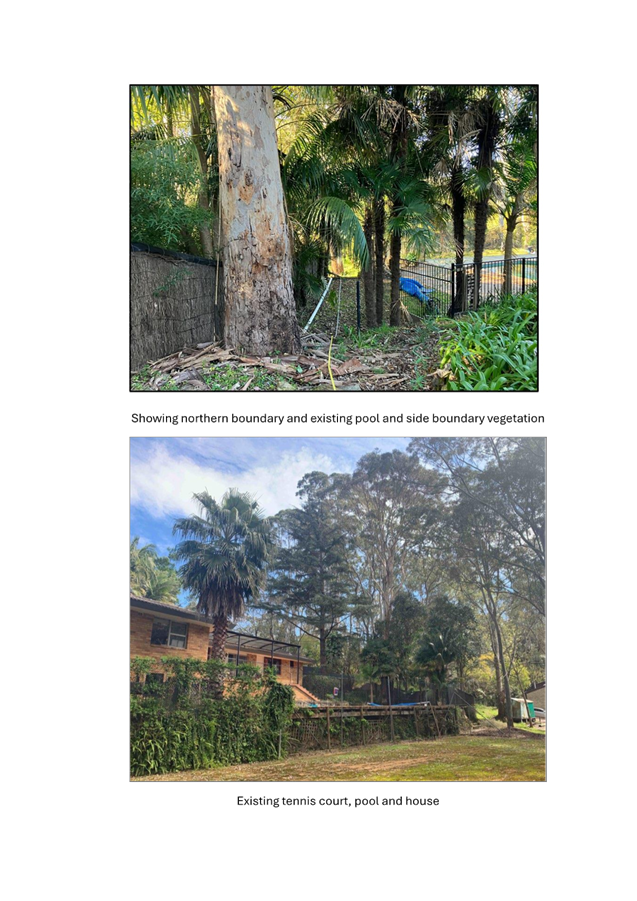 A tree and house in a yard

AI-generated content may be incorrect.