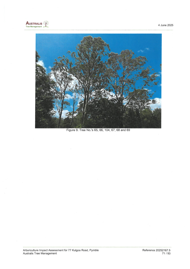 A group of trees in a forest

AI-generated content may be incorrect.