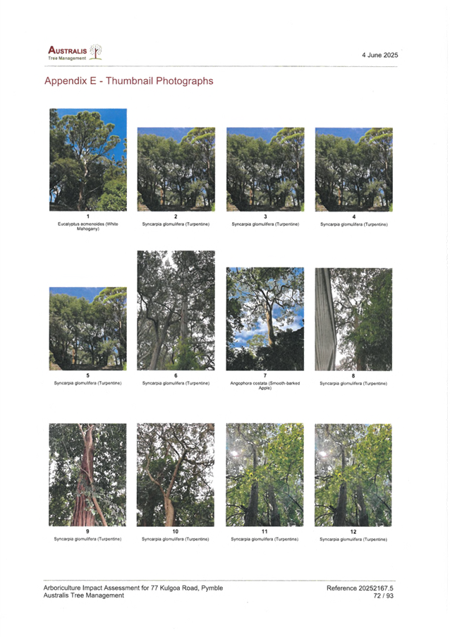 A collage of trees

AI-generated content may be incorrect.