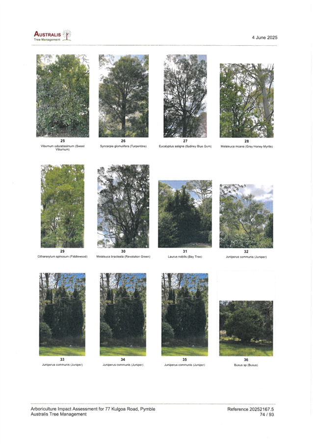 A collage of trees

AI-generated content may be incorrect.