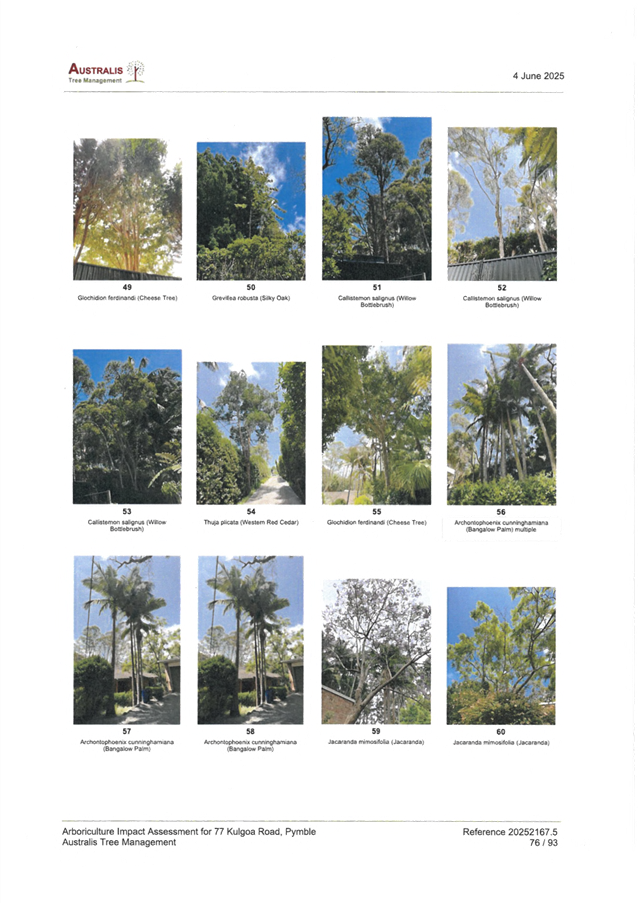 A collage of trees

AI-generated content may be incorrect.