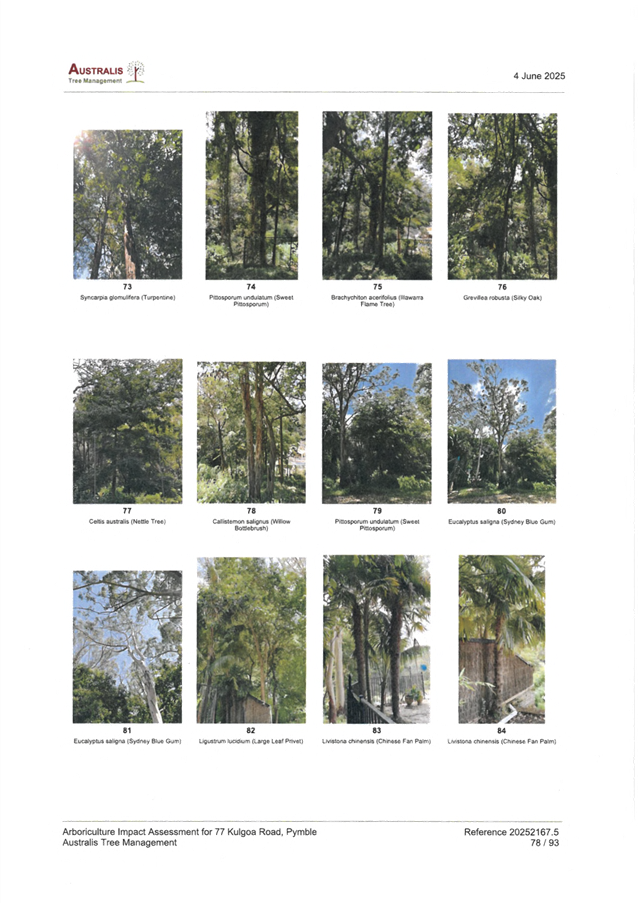 A collage of trees

AI-generated content may be incorrect.