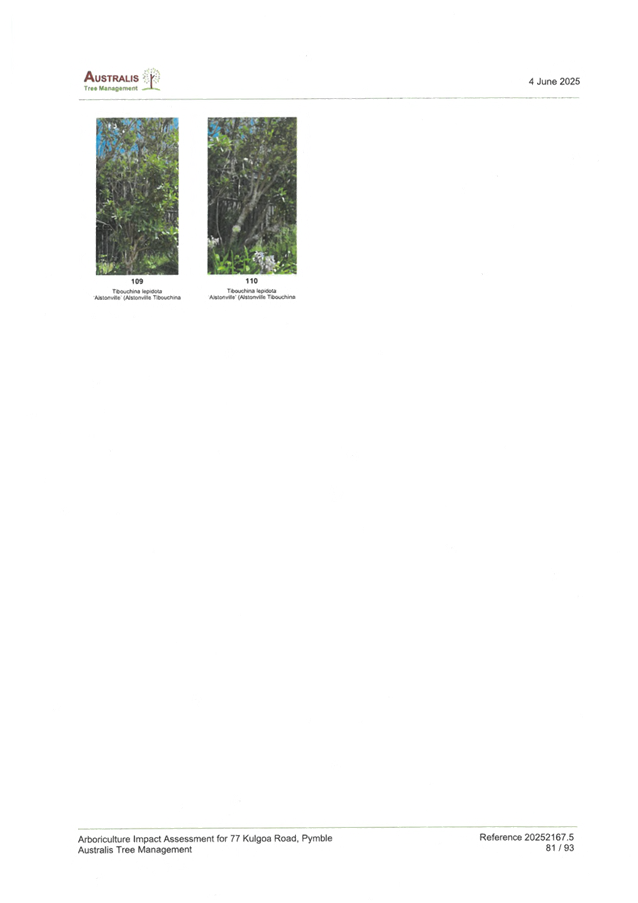 A close-up of a page

AI-generated content may be incorrect.