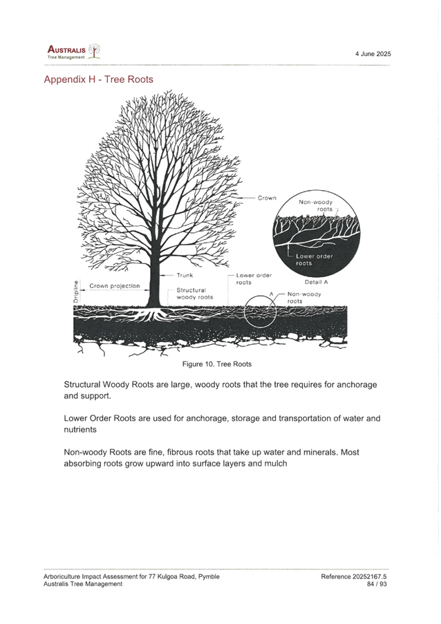 A diagram of a tree

AI-generated content may be incorrect.