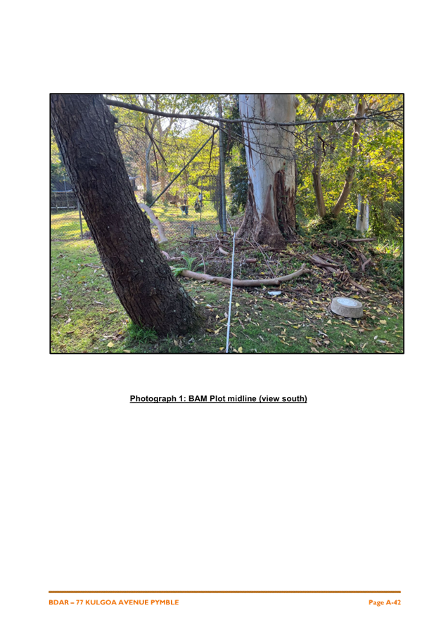 A tree with a rope around it

AI-generated content may be incorrect.