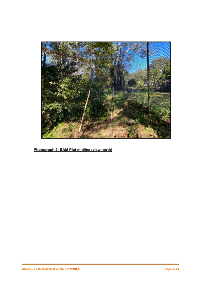 A fenced in area with trees

AI-generated content may be incorrect.