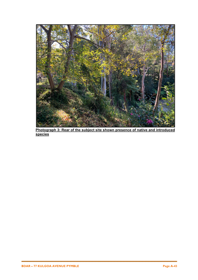 A close-up of a forest

AI-generated content may be incorrect.