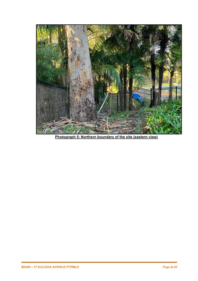 A tree with a fence and a fence

AI-generated content may be incorrect.