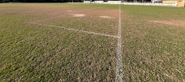 A field with a white line

AI-generated content may be incorrect.