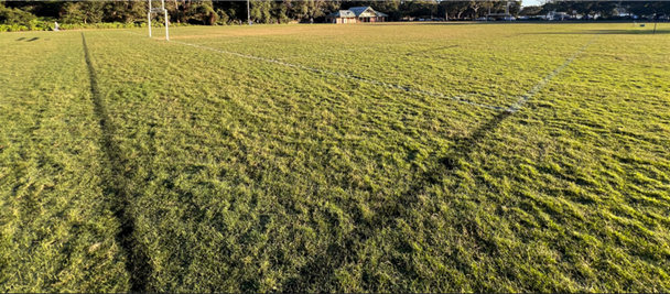A football field with trees in the background

AI-generated content may be incorrect.
