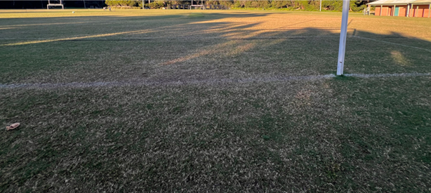 A football goal post on a field

AI-generated content may be incorrect.